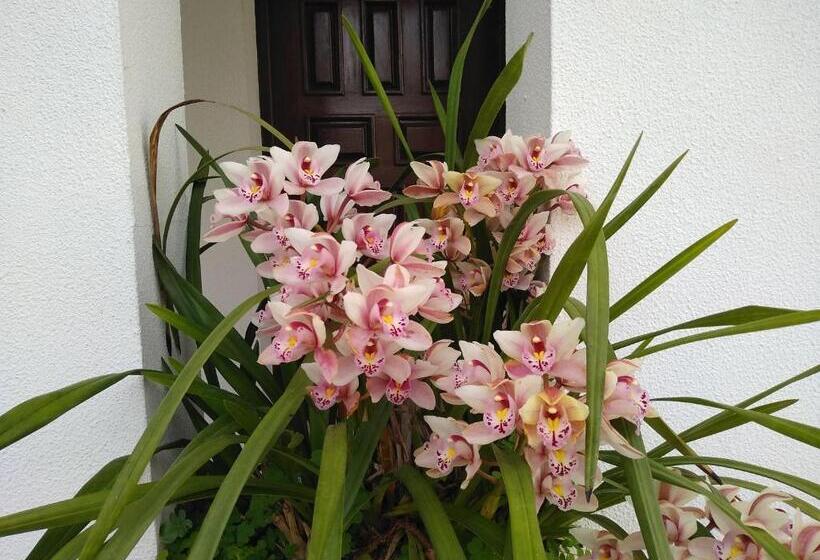 Пансион Casa Da Piedade, Vouzela