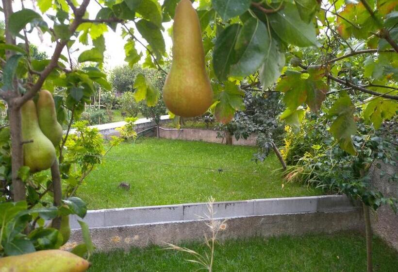 Пансион Casa Da Piedade, Vouzela