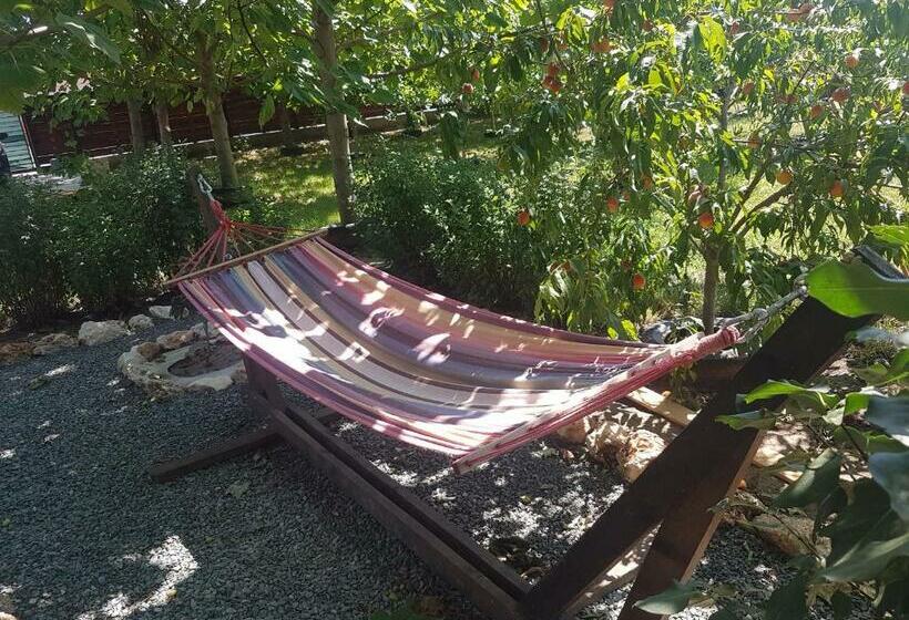 פנסיון Casa Magnolia