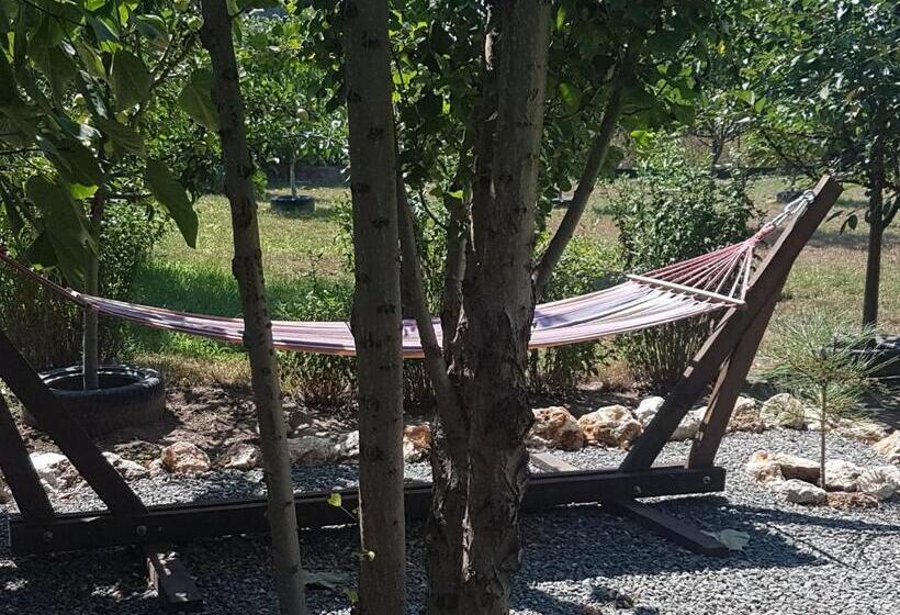 פנסיון Casa Magnolia