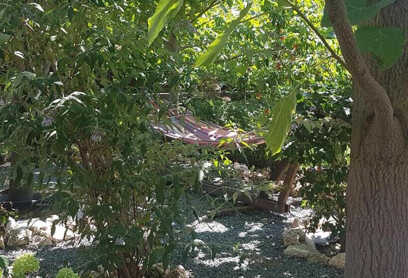 פנסיון Casa Magnolia