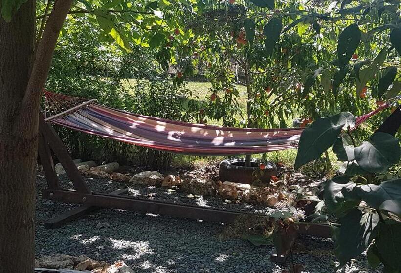 بنسيون Casa Magnolia