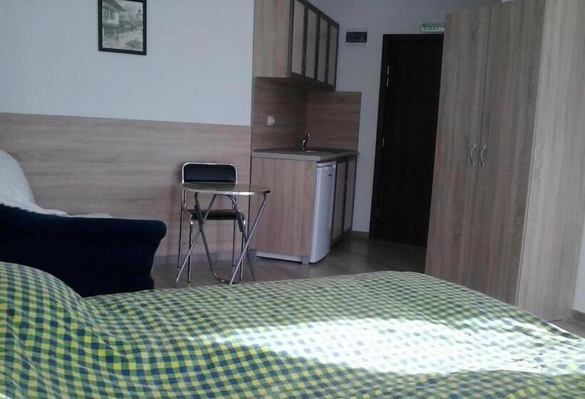 بنسيون Iceberg