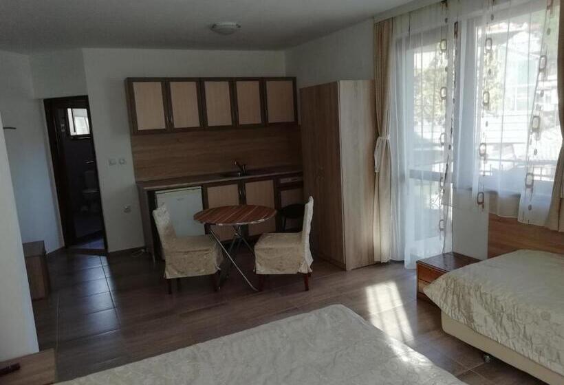 بنسيون Iceberg