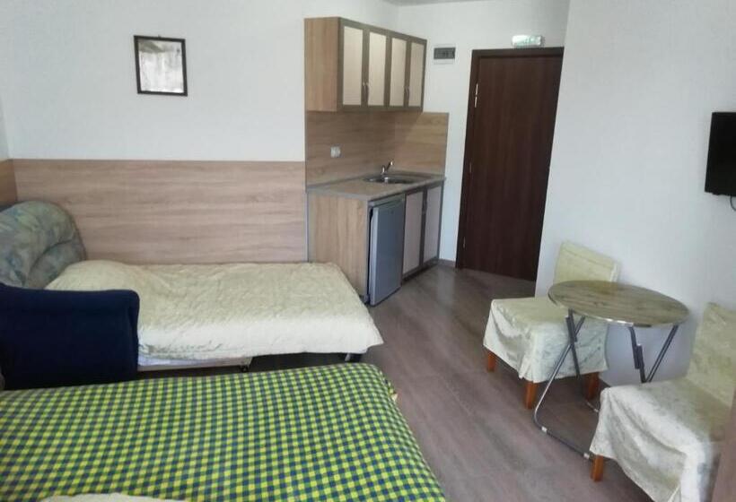 بنسيون Iceberg