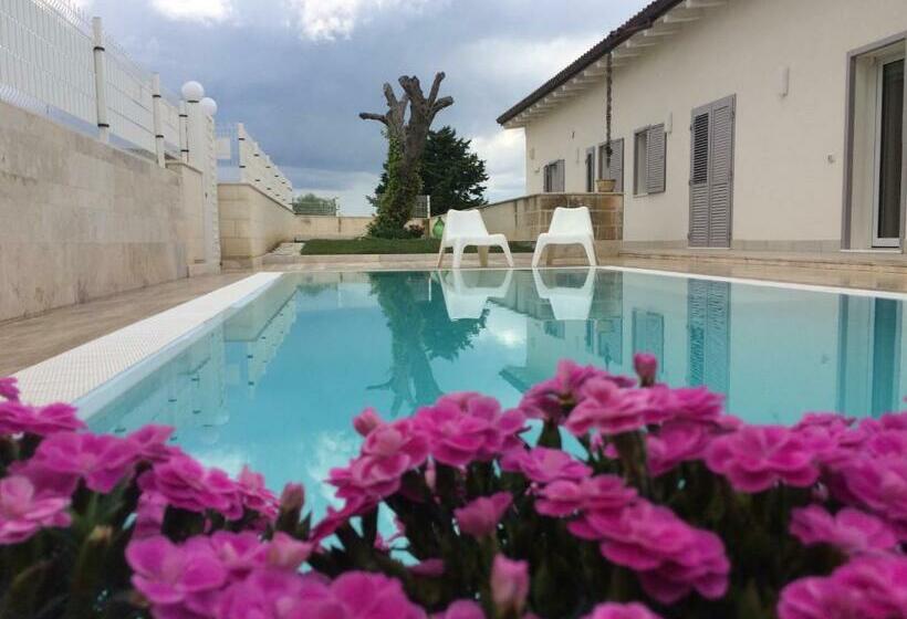 膳宿费 Ofra Matera