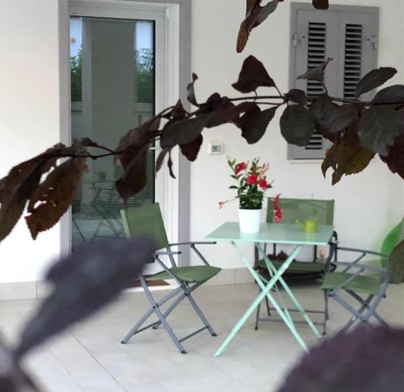 膳宿费 Ofra Matera