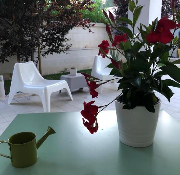 膳宿费 Ofra Matera