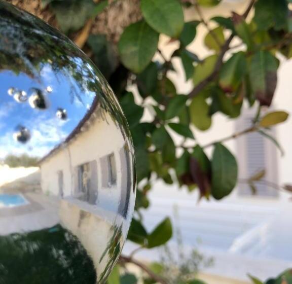 膳宿费 Ofra Matera