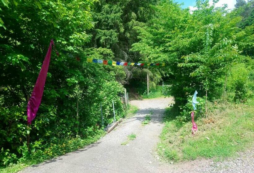 مبيت وإفطار Haus 3 Birken