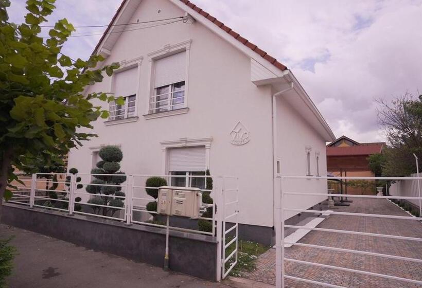 住宿加早餐  Vivo House