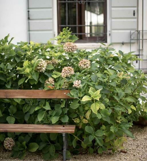 住宿加早餐  La Celeste Galeria