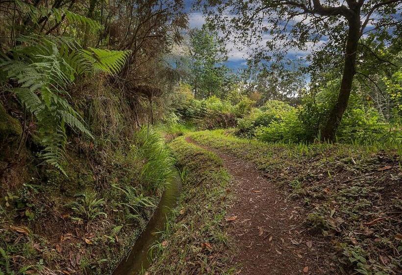 פנסיון Casa Do Miradouro
