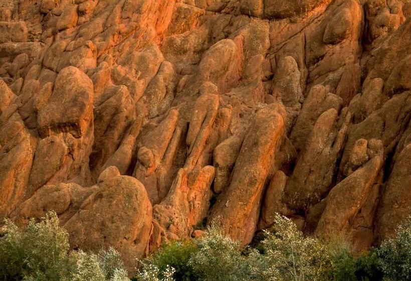 پانسیون Monkey Fingers House By Fatima Mellal