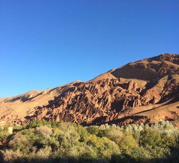 پانسیون Monkey Fingers House By Fatima Mellal