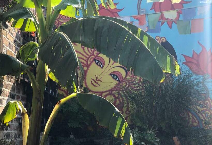 Общежитие The Beetroot