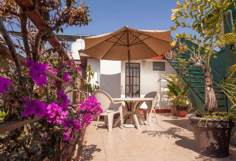 فندق صغير Posada Galeria Alberto Sedas