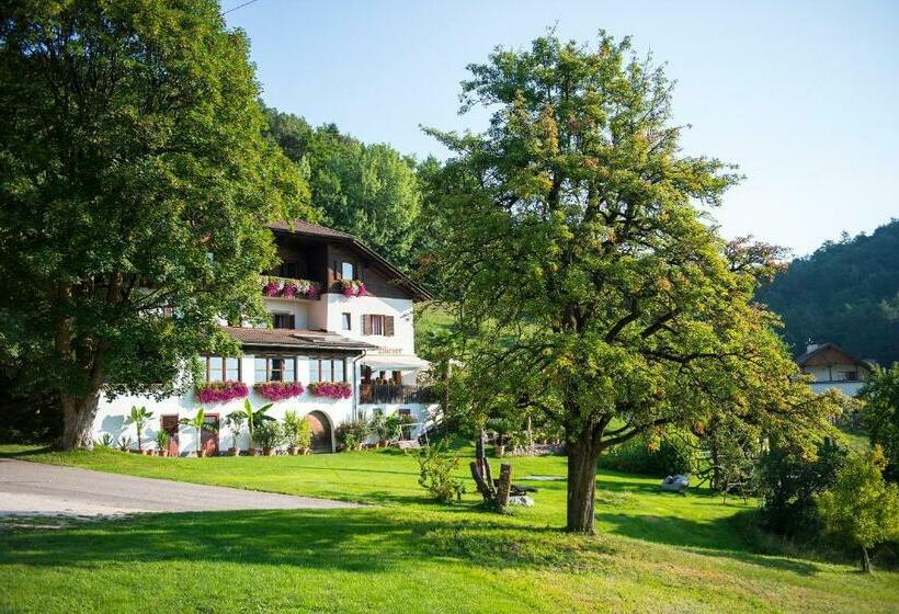 هاستل Gasthof Wieser