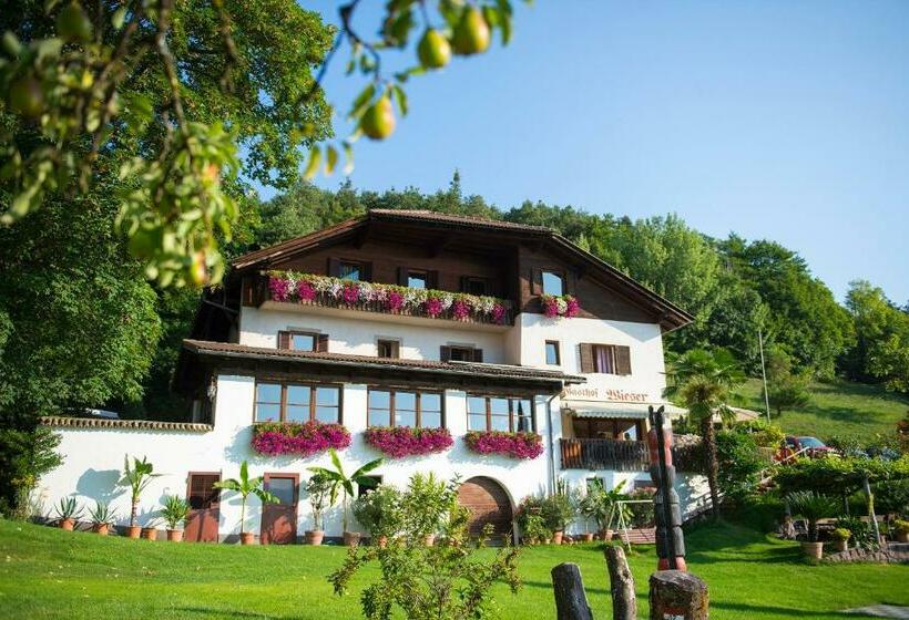 旅馆 Gasthof Wieser