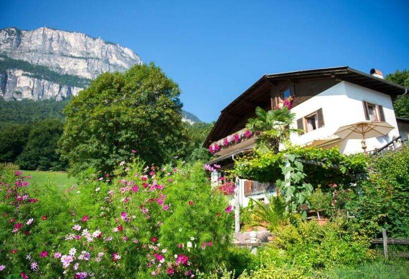 旅馆 Gasthof Wieser