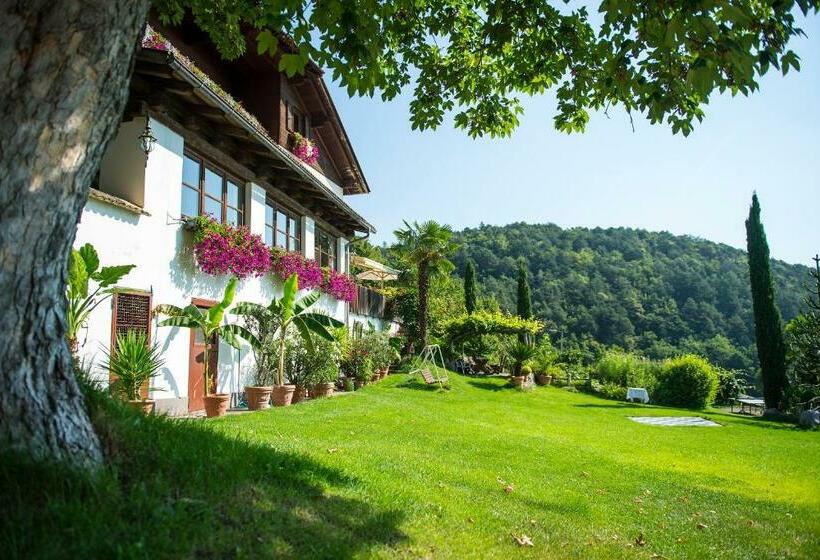 旅馆 Gasthof Wieser