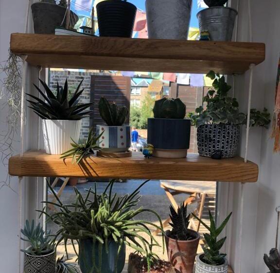 Общежитие The Beetroot