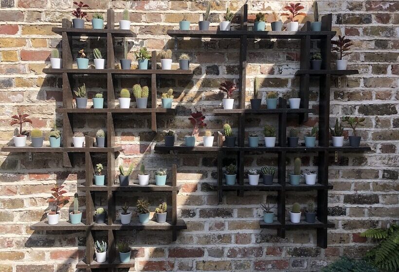 Общежитие The Beetroot