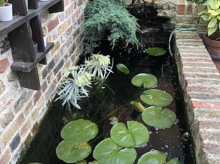 Общежитие The Beetroot