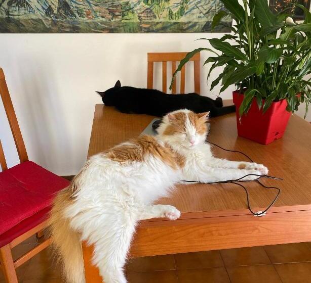 Bed and Breakfast A Casa Di Elena