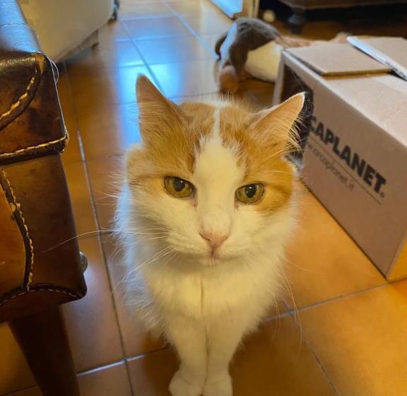 Bed and Breakfast A Casa Di Elena