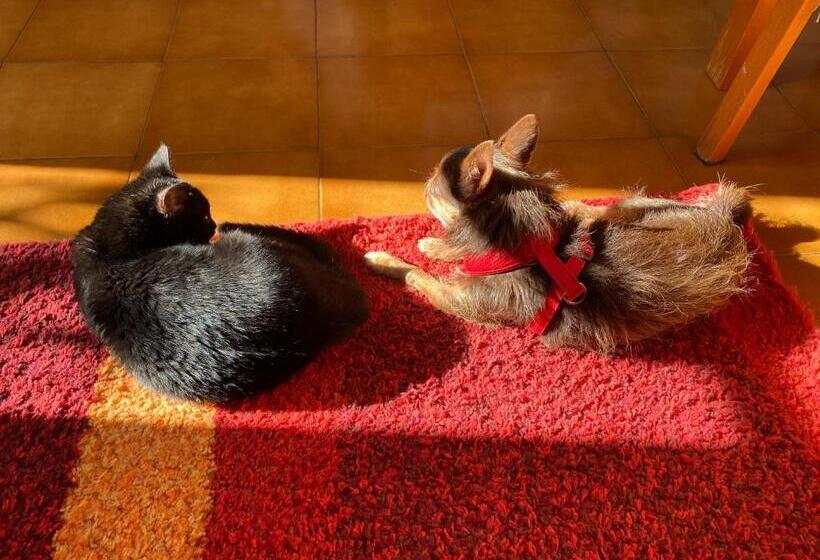 Bed and Breakfast A Casa Di Elena