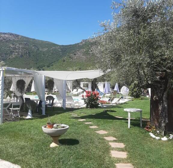 مبيت وإفطار Alloggio Turistico L Ulivo