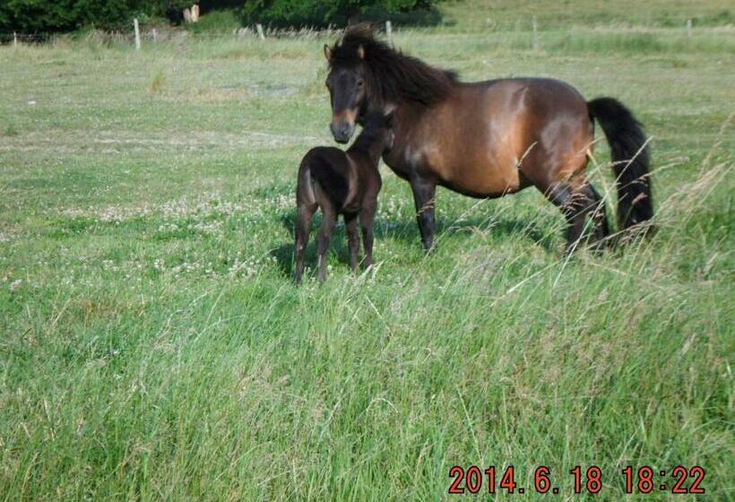 مبيت وإفطار Bienvenue à L Andruère