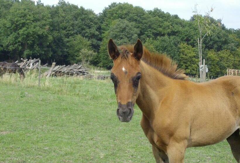 مبيت وإفطار Bienvenue à L Andruère
