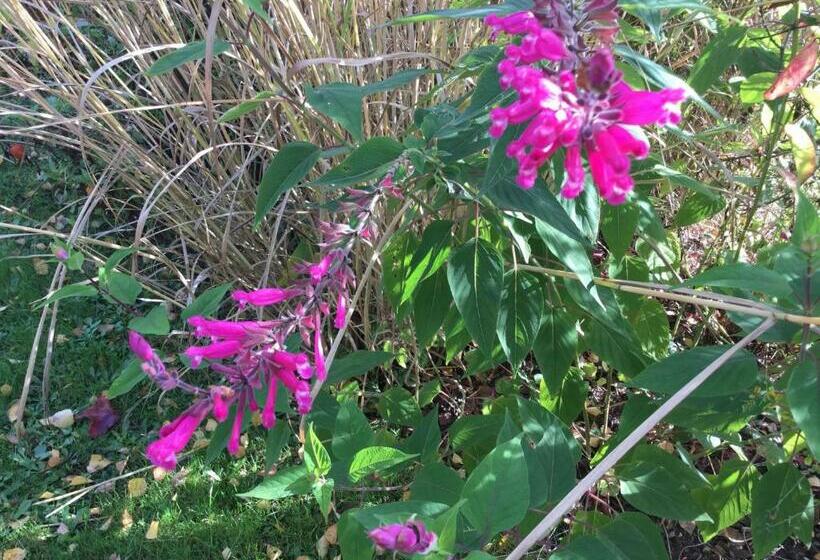 ベッドアンドブレックファースト Chambres D Hotes Au Pays De Valencay En Berry