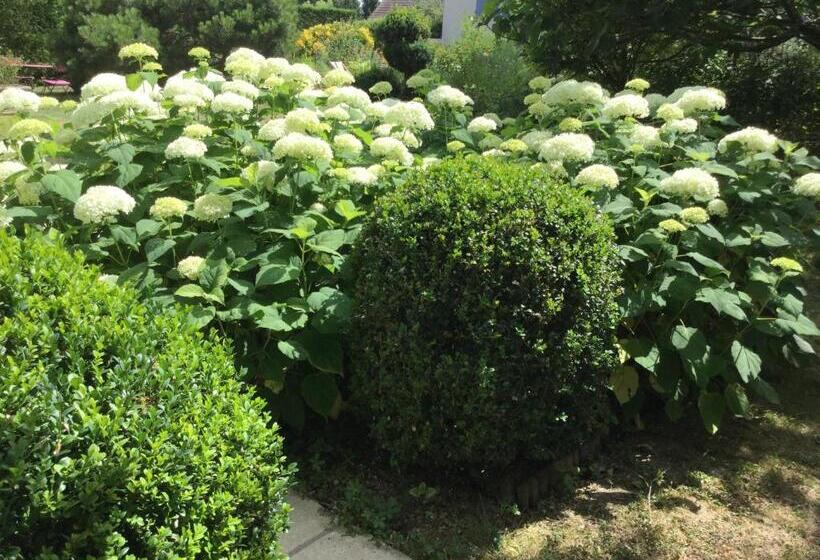 ベッドアンドブレックファースト Chambres D Hotes Au Pays De Valencay En Berry