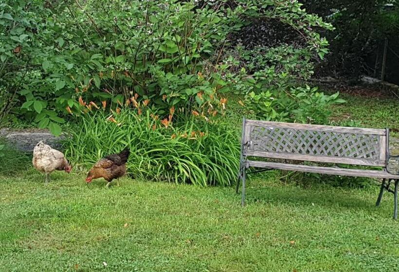 住宿加早餐  De Passage Chez Lili