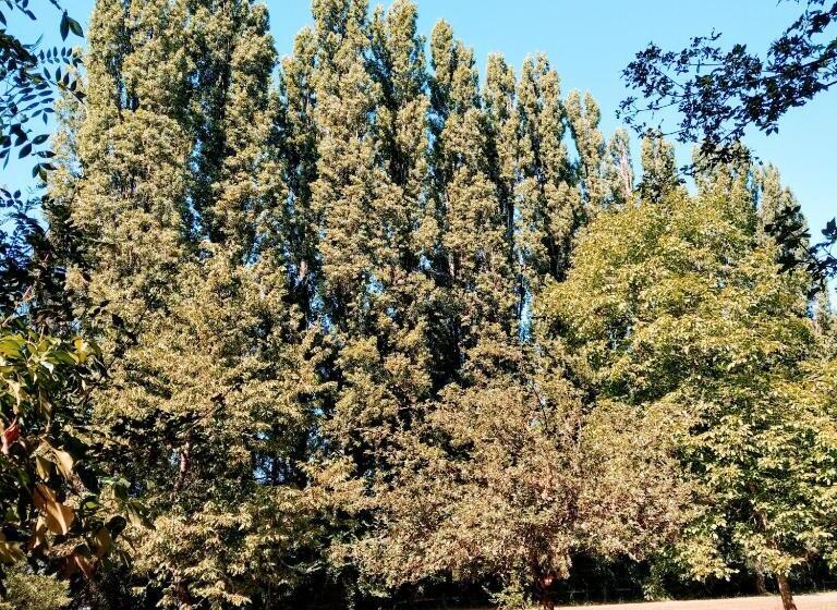 مبيت وإفطار Domaine De La Clef Des Champs