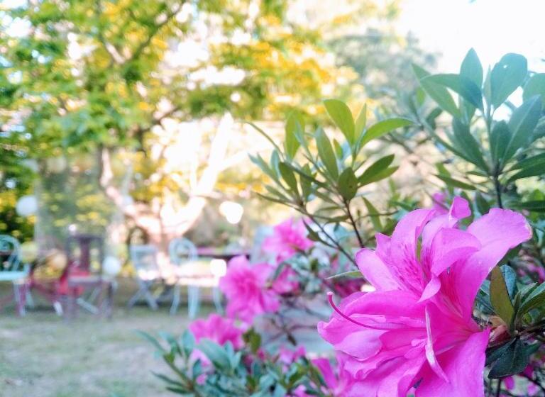 مبيت وإفطار Domaine De La Clef Des Champs