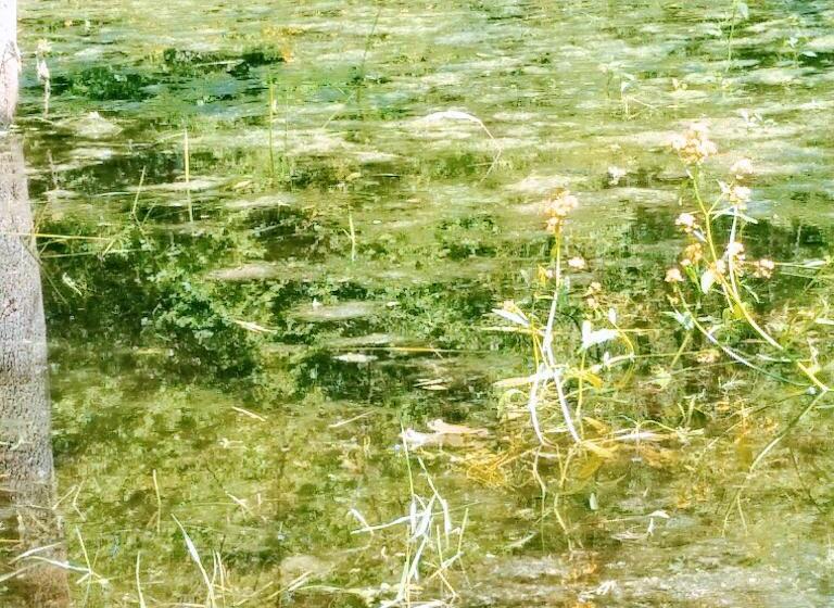 مبيت وإفطار Domaine De La Clef Des Champs