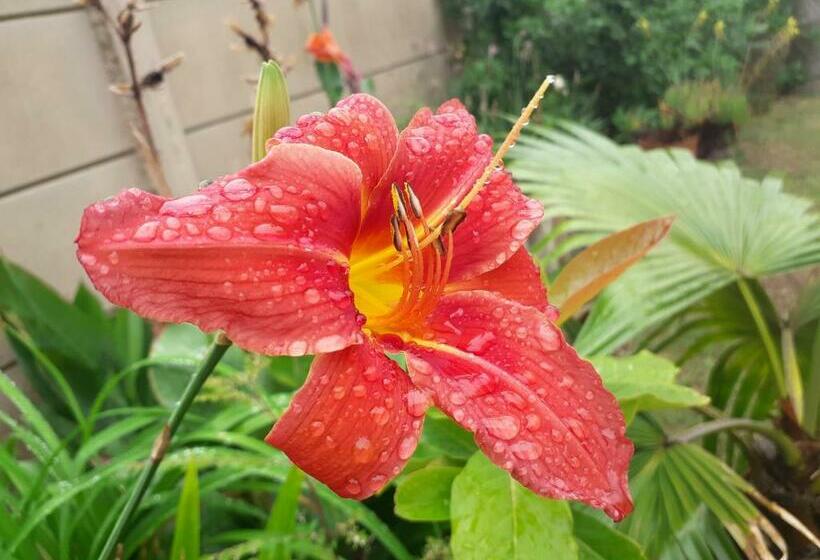 צימר Field S Rest