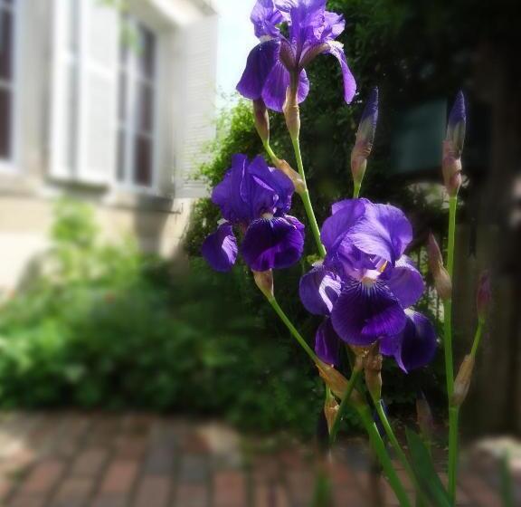 住宿加早餐  L Escalier Des Rêves