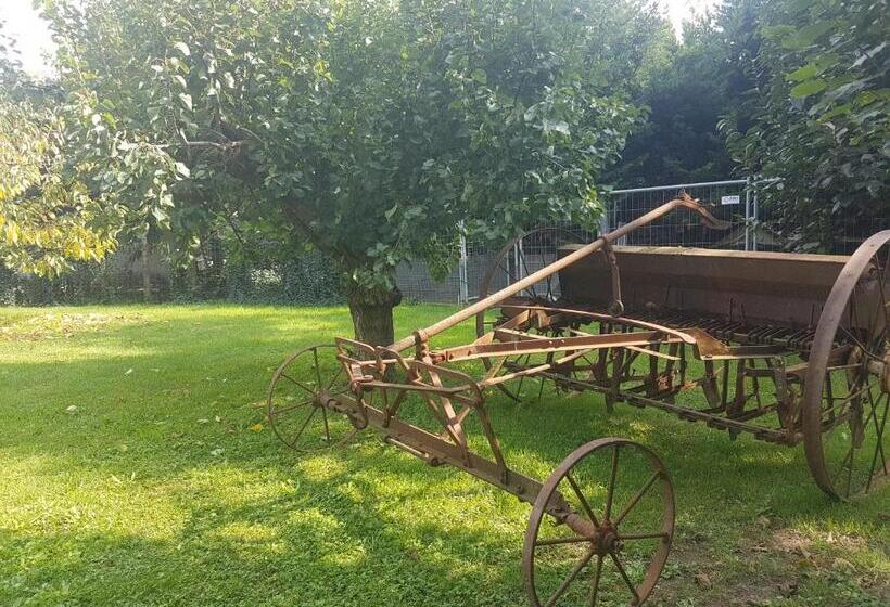 住宿加早餐  La Casa Di Pilar