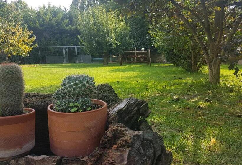 住宿加早餐  La Casa Di Pilar