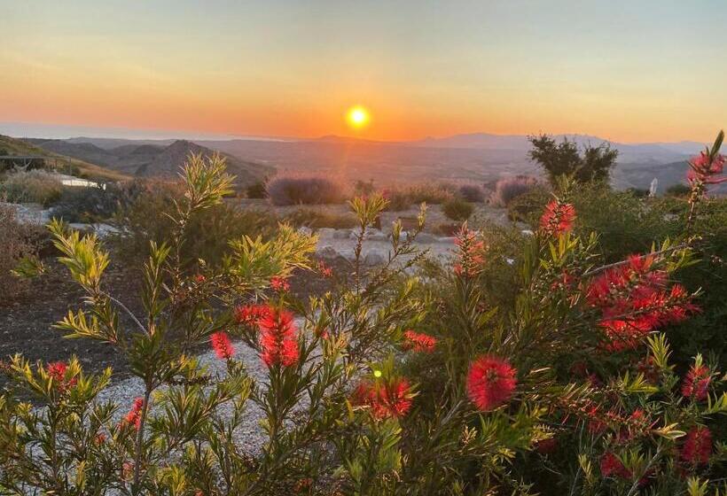 ベッドアンドブレックファースト La Mortilla