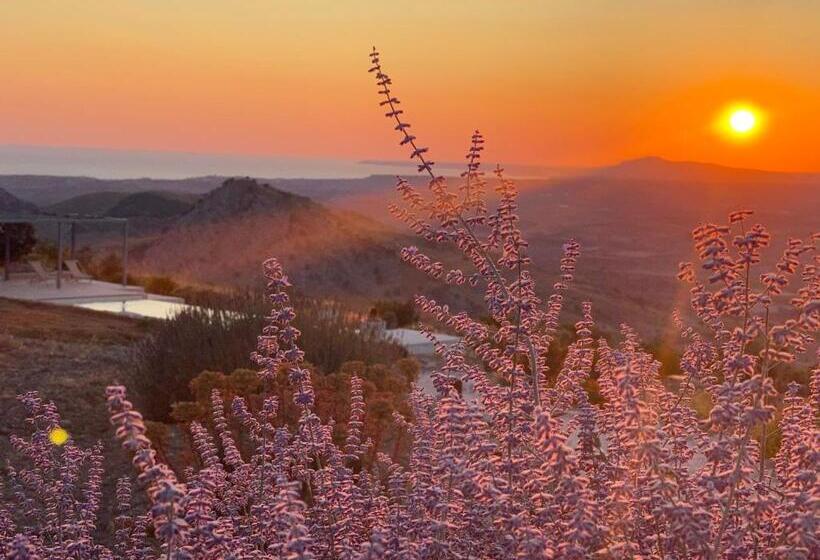 ベッドアンドブレックファースト La Mortilla