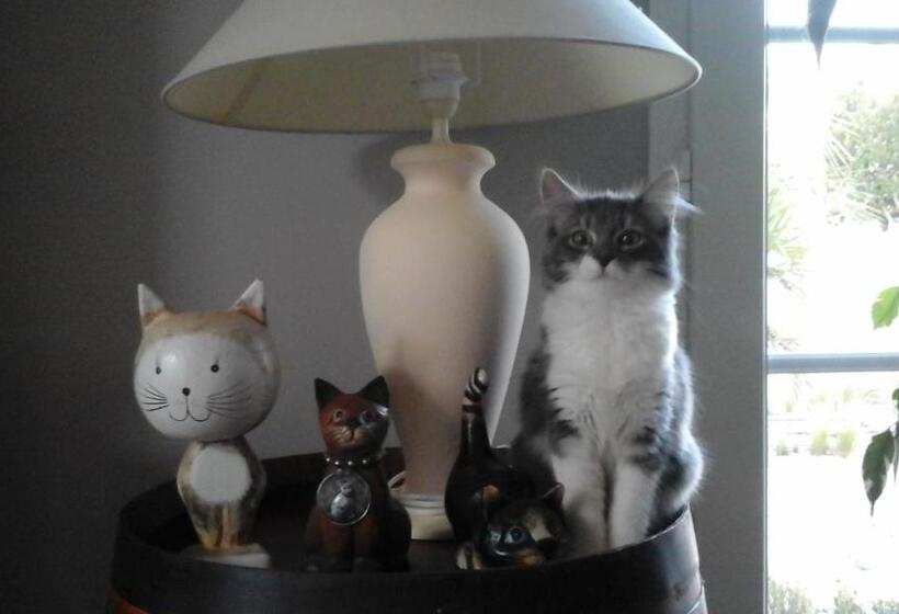 住宿加早餐  Le Temps D Une Pause