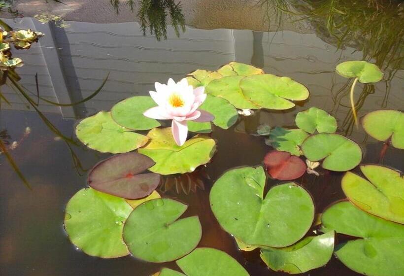 住宿加早餐  Le Temps D Une Pause