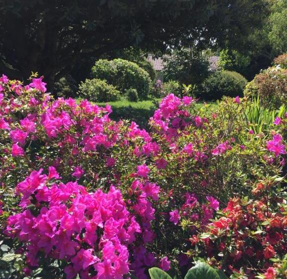 צימר Les 3 Koïs