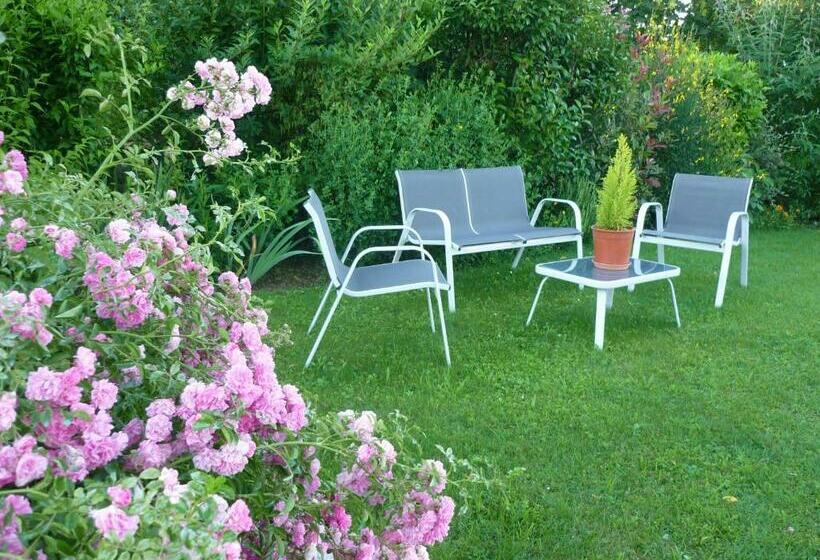 ベッドアンドブレックファースト Les Hirondelles Du Paradis 6 Rue Des Oiseaux